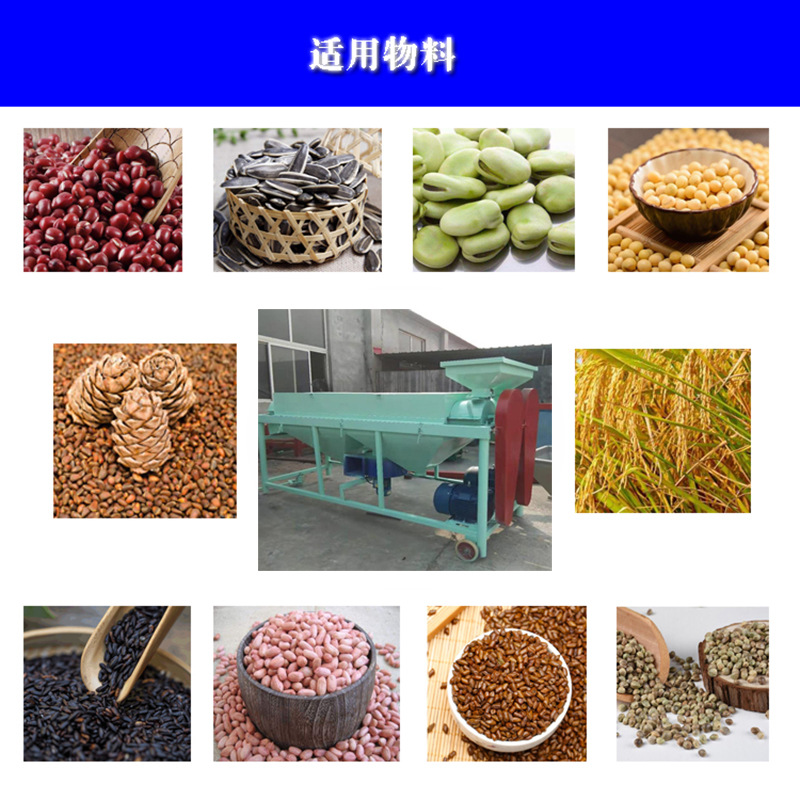 �㹽�� ��ʳ�׹�� ���׹��